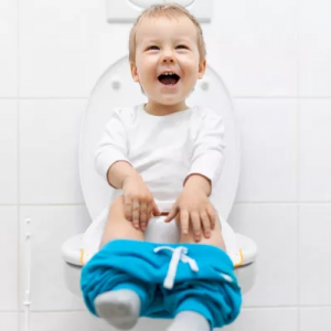 Langkah-Langkah Praktis dan Kiat Sukses Toilet Training Anak